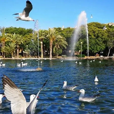 Experience Atico Apolo Torrevieja